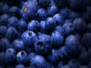 BlueBerry